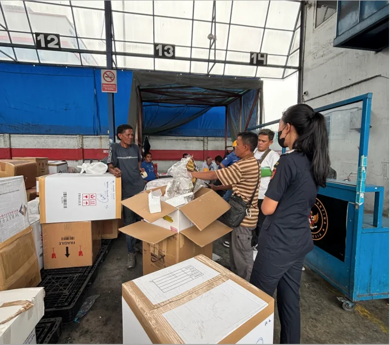 Physical Inspection of Goods by Officers
